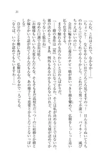 生徒会長は俺の嫁！？！？, 日本語