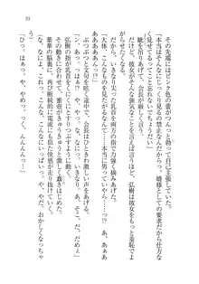 生徒会長は俺の嫁！？！？, 日本語