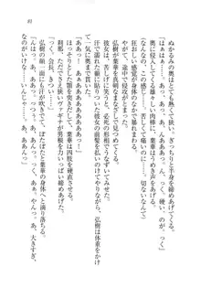 生徒会長は俺の嫁！？！？, 日本語