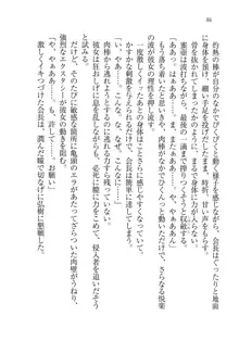 生徒会長は俺の嫁！？！？, 日本語