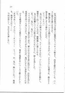 ボクの女神は淫魔(リリス)サマ！？, 日本語