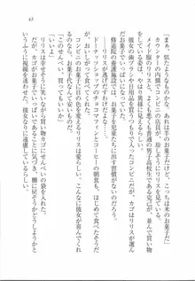 ボクの女神は淫魔(リリス)サマ！？, 日本語