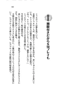 My姫 プリンセスの休日, 日本語