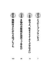 My姫 プリンセスの休日, 日本語