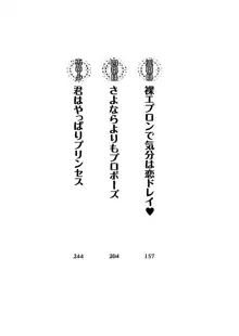 My姫 プリンセスの休日, 日本語