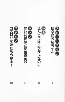 いちゃいちゃラブラブお姉ちゃん, 日本語