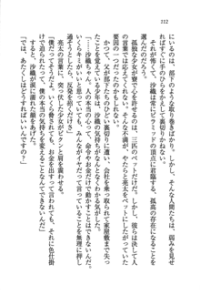 お嬢様がいっぱい 恋する学園三国志！？, 日本語