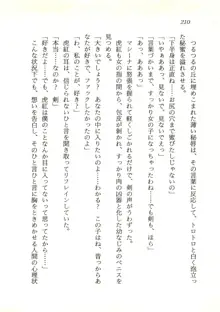 ウィアードハンター 時空妖術書の謎, 日本語