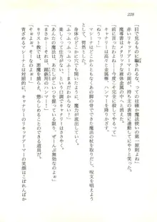 ウィアードハンター 時空妖術書の謎, 日本語