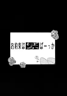 バカばっか!! どうなるの?, 日本語