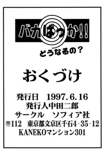 バカばっか!! どうなるの?, 日本語