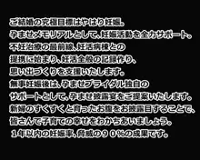 孕ませブライダル, 日本語