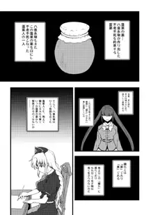 東方projectの本 総集編, 日本語