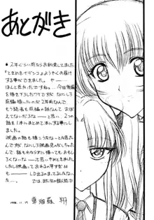 ときめきNADESICO, 日本語