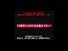 温泉旅姦 大人の【ごっこ遊び】で寝取られた妻！, 日本語