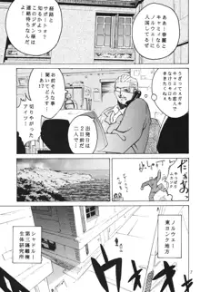 天衣無縫 3+4 総集編, 日本語