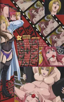 Bible Black Artbook, 日本語