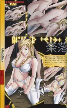 Bible Black Artbook, 日本語