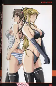 Bible Black Artbook, 日本語