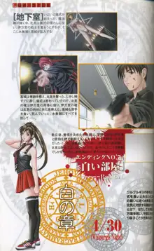 Bible Black Artbook, 日本語