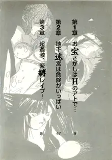 秘宝ハンター★静流　地下迷宮の女神像, 日本語