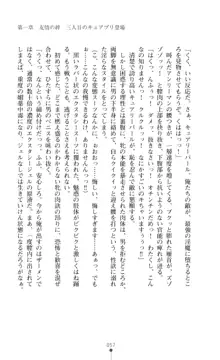 キュアリープリンセス 正義の心を悪堕ち洗脳, 日本語