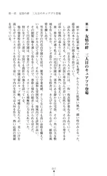 キュアリープリンセス 正義の心を悪堕ち洗脳, 日本語