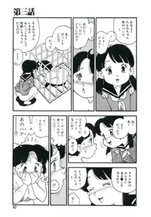 後宮学園, 日本語