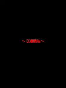 ボテ腹クエスト～穴とマラと精子と孕まされし勇者たち～, 日本語