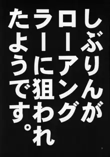 しぶりんがローアングラーに狙われたようです。, 日本語