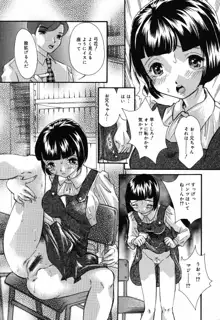 よく出る！ 実用♡制服少女。, 日本語