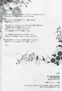 磯風痴漢被害, 日本語