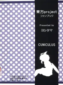 名も無き愛の唄 名無し本読み妖怪編, 日本語