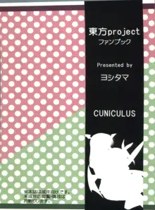 名も無き愛の唄 大妖精・小悪魔編, 日本語