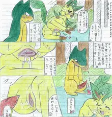 Leafeon X Quilava, 日本語