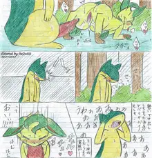 Leafeon X Quilava, 日本語