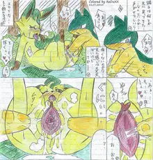 Leafeon X Quilava, 日本語