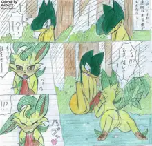 Leafeon X Quilava, 日本語