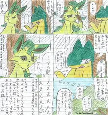 Leafeon X Quilava, 日本語