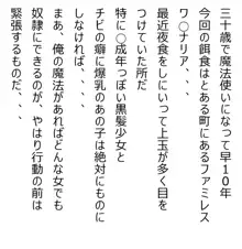 四十歳元童貞魔法使いが近所の美少女にひどい事していくていくだけの話 とあるファミレス編, 日本語