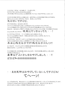 ほたるさんのおしっこが本当に駄菓子なのか調べてみよう, 日本語