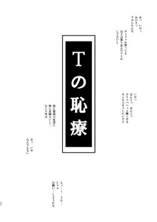 T&Y -omnibus-, 日本語