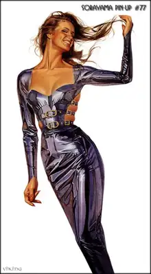 Hajime Sorayama Pin-Up Artwork, 日本語