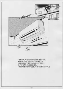 DIG-1桁ガム, 日本語