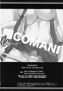 PICOMANI:13, 日本語