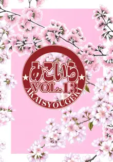 みこいらVol.13, 日本語