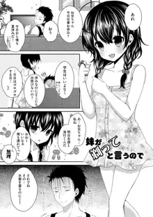 お兄ちゃんとあかるい近親計画, 日本語