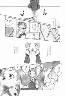 少女の異常な愛情, 日本語