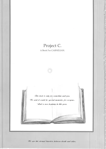 PROJECT C, 日本語