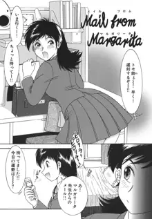 少女マル秘ネット流出, 日本語